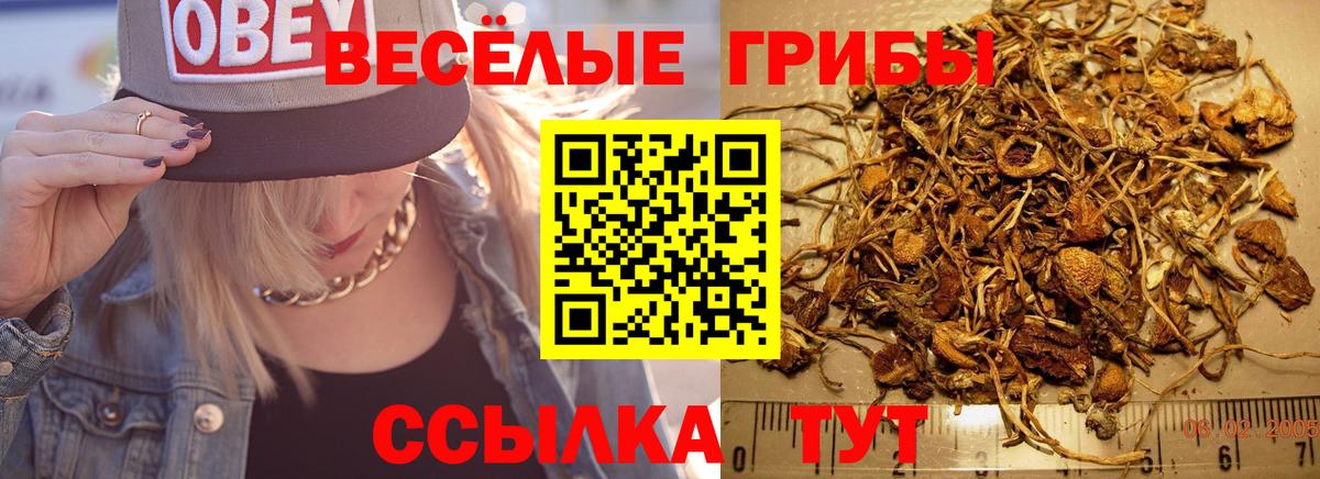 Галлюциногенные грибы MAGIC MUSHROOMS  где найти   Можга  Вход с VPN 